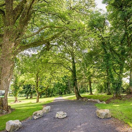 Breaffy Woods Hotel Castlebar Buitenkant foto
