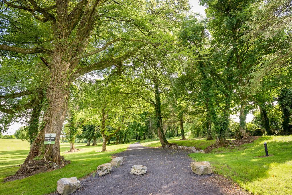 Breaffy Woods Hotel Castlebar Buitenkant foto