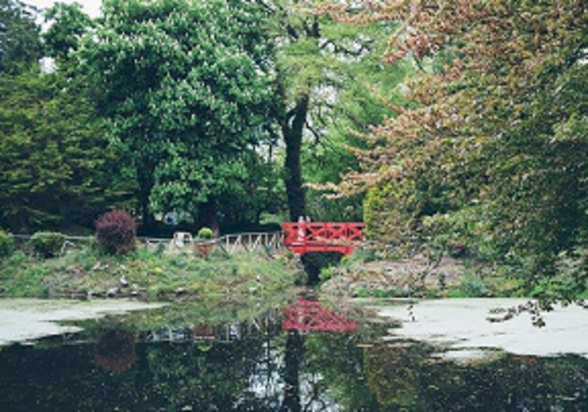 Breaffy Woods Hotel Castlebar Buitenkant foto