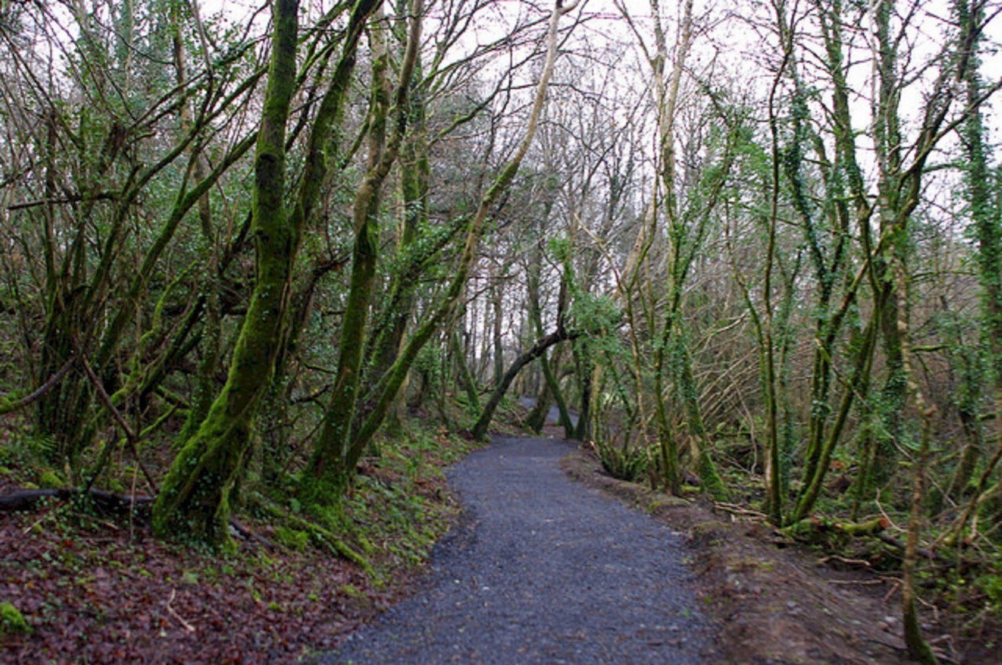 Breaffy Woods Hotel Castlebar Buitenkant foto